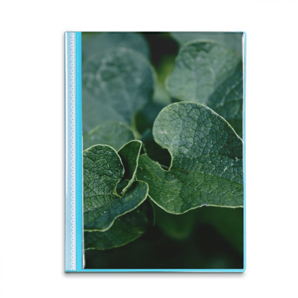 Dark   Picture Nature Book Sheet Protectors Portfolio Binder Folder