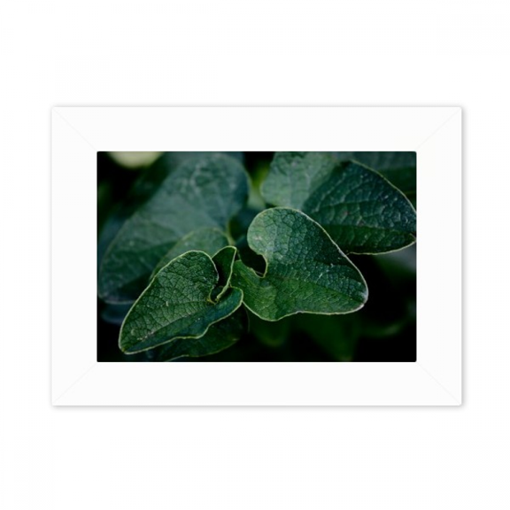 Dark Picture Nature Photo Mount Frame Picture Art Painting Desktop 5x7 inch