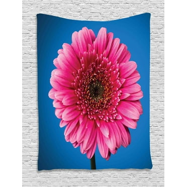 Dark Pink Tapestry, Close up Shot of Pink Gerbera Blossom, Wall Hanging for Bedroom Living Room Dorm Decor, 60W X 80L Inches, Azure Blue Hot Pink Pink and Charcoal Grey, by Ambesonne