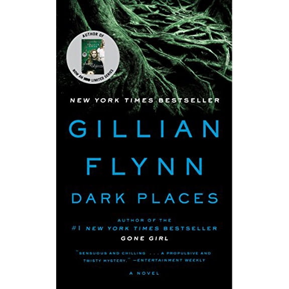 Pre-Owned Dark Places by Gillian Flynn (Paperback)
