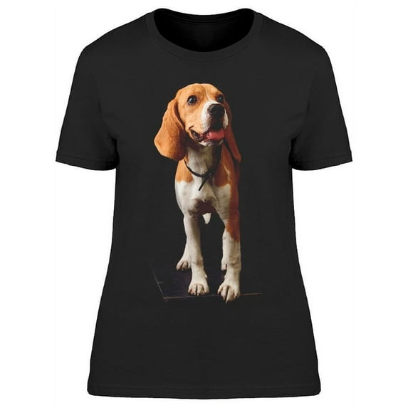 Dark Portrait Beagle T-Shirt Women -Image by Shutterstock, Female Medium
