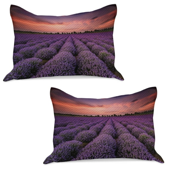 Dark Purple Knitted Quilt Pillowcover Set of 2, Lavender Field Photo with Burnt Sienna Toned Sunset Sky Tree Silhouettes, Standard Queen Pillow Sham Bedroom, 30" x 20", Coral and Purple, by Ambesonne