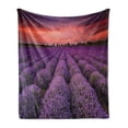 thumbnail image 1 of Dark Purple Soft Flannel Fleece Blanket, Lavender Field Photo with Burnt Sienna Toned Sunset Sky Tree Silhouettes, Cozy Plush for Indoor and Outdoor Use, 70" x 90", Coral and Purple, by Ambesonne, 1 of 5