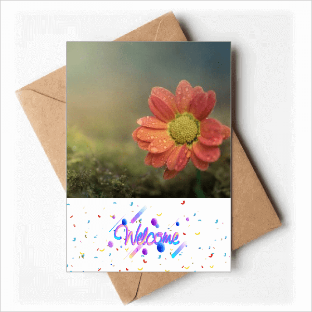 Dark Red Beautiful Flowers Welcome Back Greeting Cards Envelopes Blank
