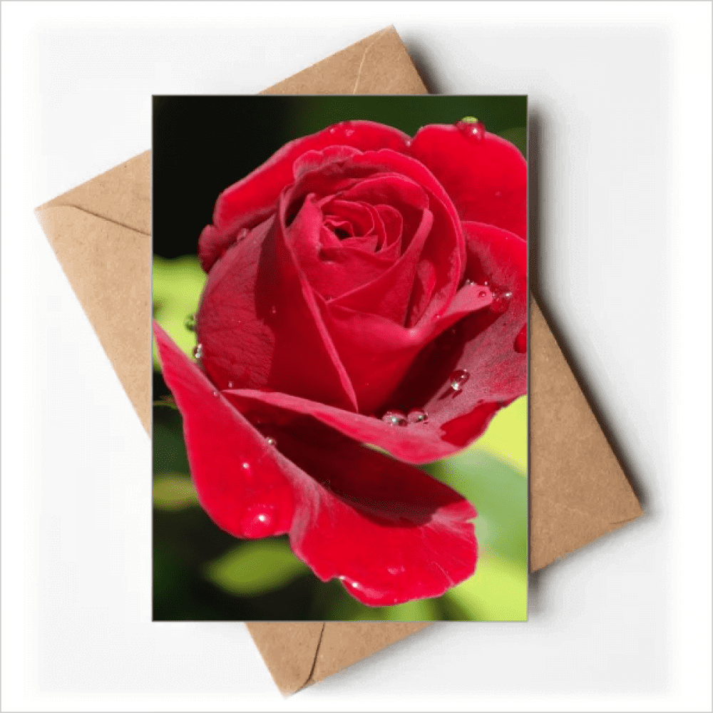 Dark Red Roses Flowers Art Deco Fashion Greeting Cards You are Invited Invitations