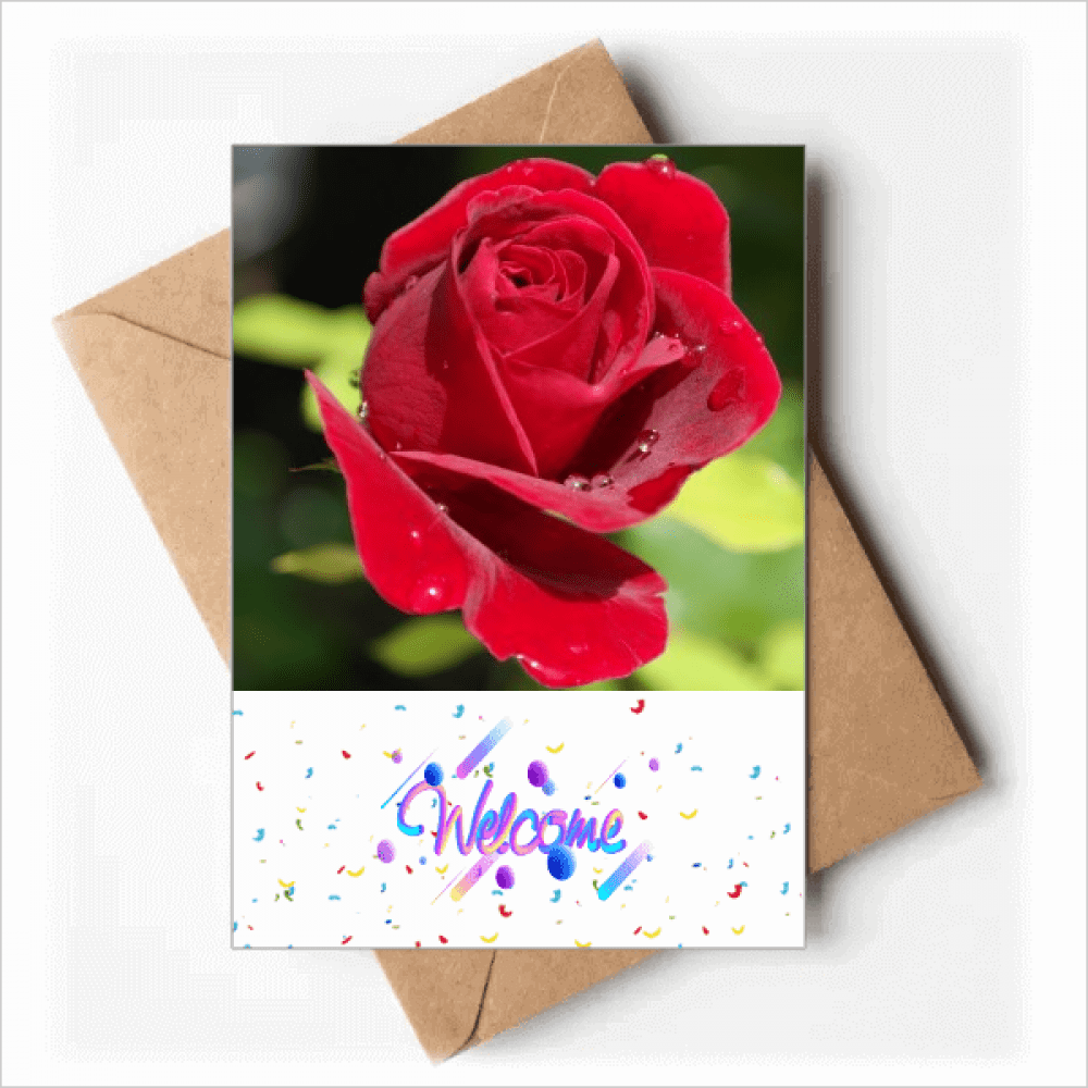 Dark Red Roses Flowers Art Deco Fashion Welcome Back Greeting Cards Envelopes Blank