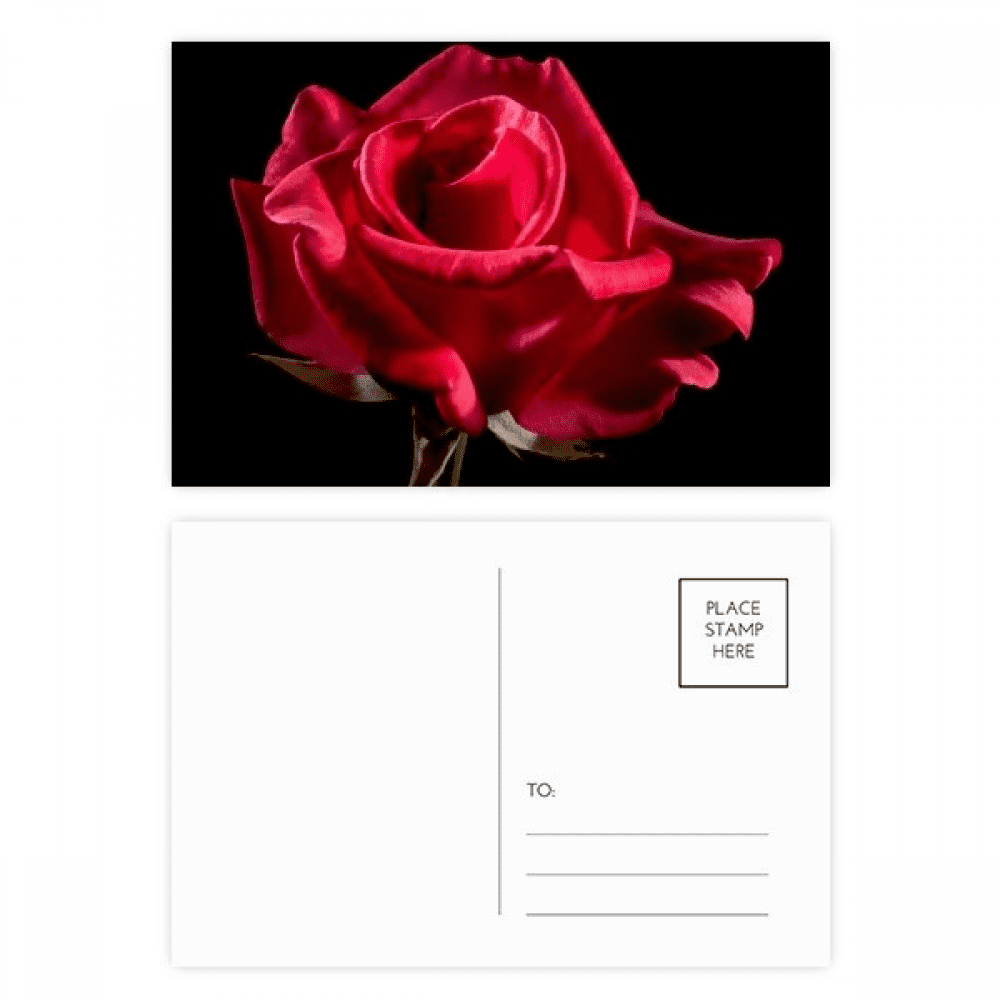 Dark Red Roses Flowers Postcard Set Birthday Mailing Thanks Greeting Card