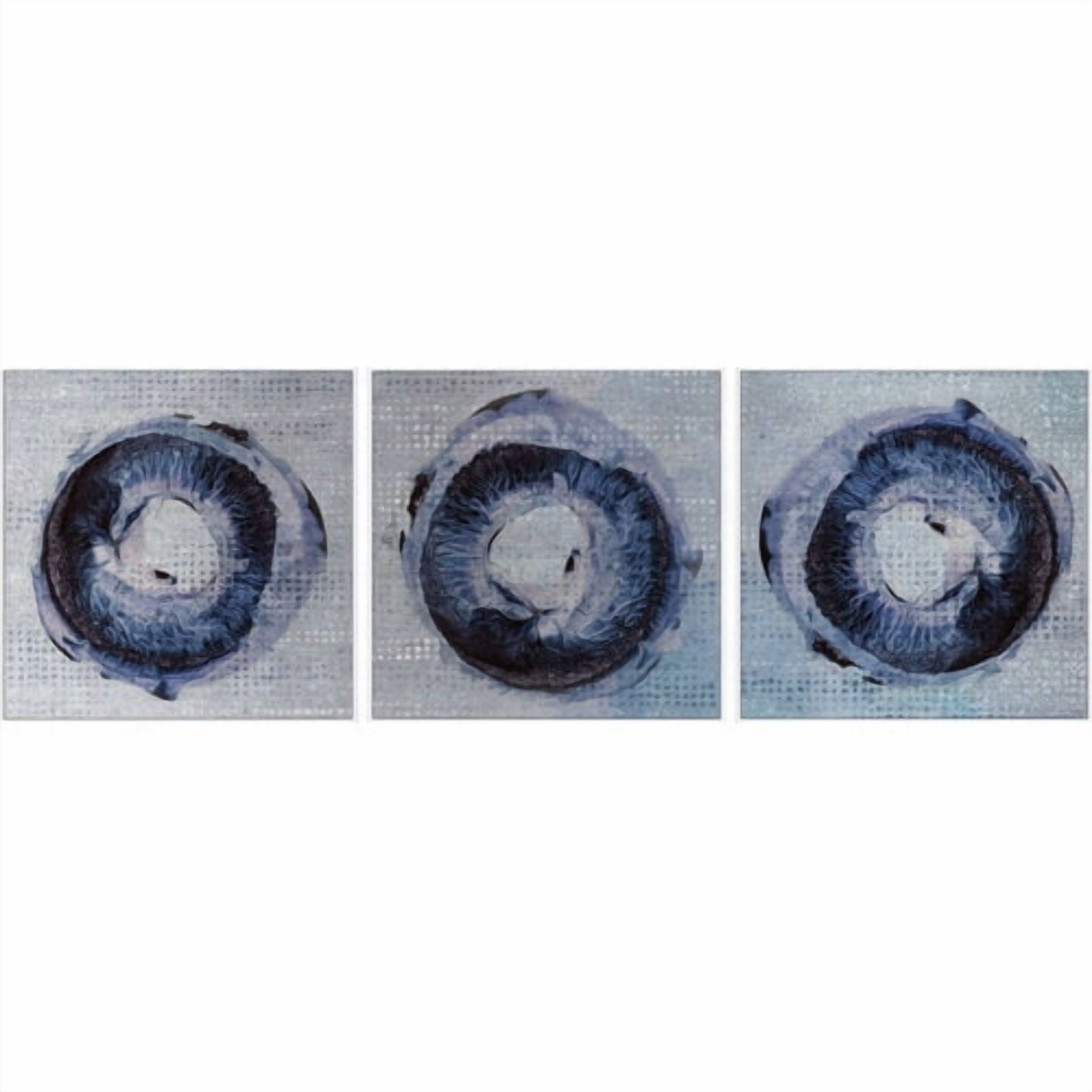 Marmont Hill Dark Rings Triptych