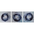 thumbnail image 1 of Dark Rings Triptych, 1 of 1