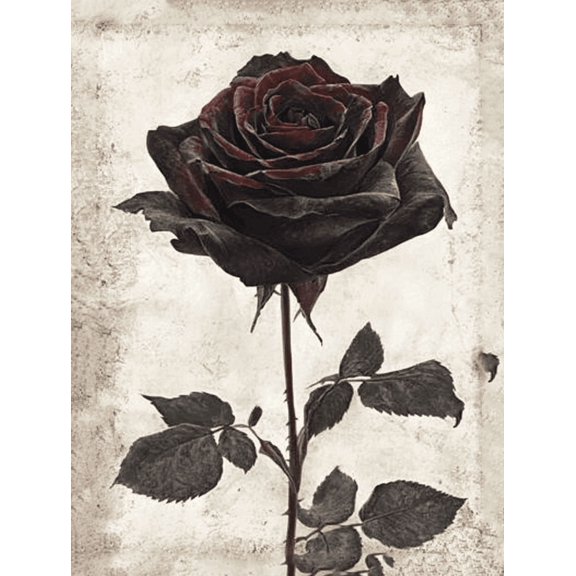 Dark Rose Canvas Wall ArtSuitable for Living Room Office Dining Room and Hallway Decoration.