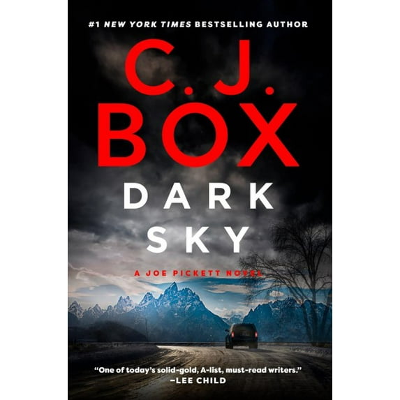Pre-Owned Dark Sky (Paperback) 0525538305 9780525538301
