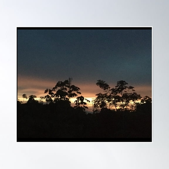 Dark Sky Silhouette Trees Sunset Poster Wall Art, Modern Wall Decor, 8x12 UNFRAMED