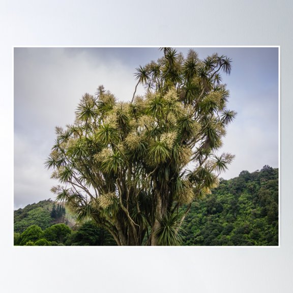 Dark Sky Tree Poster Wall Art, Modern Wall Decor, 8x12 UNFRAMED