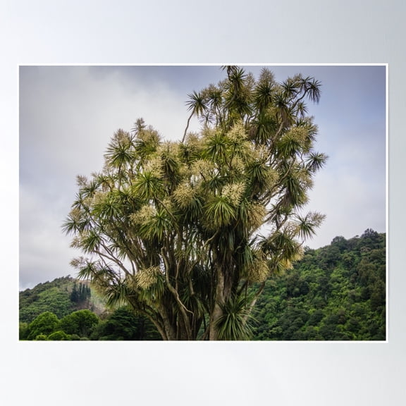 Dark Sky Tree Poster Wall Art , Poster Print Only