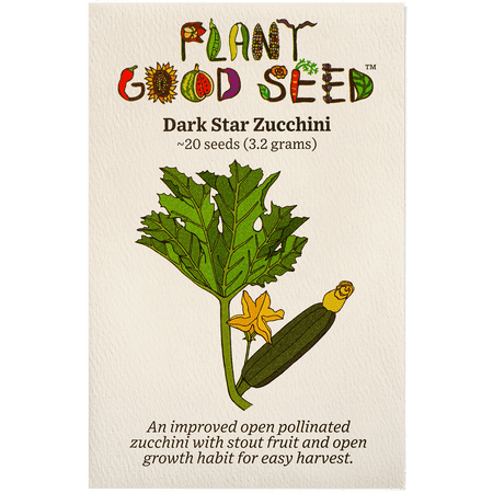 Dark Star Zucchini Seeds