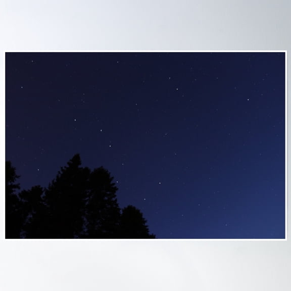 Dark Trees Against A Starry Night Poster Wall Art, Modern Wall Decor, 12x18 UNFRAMED