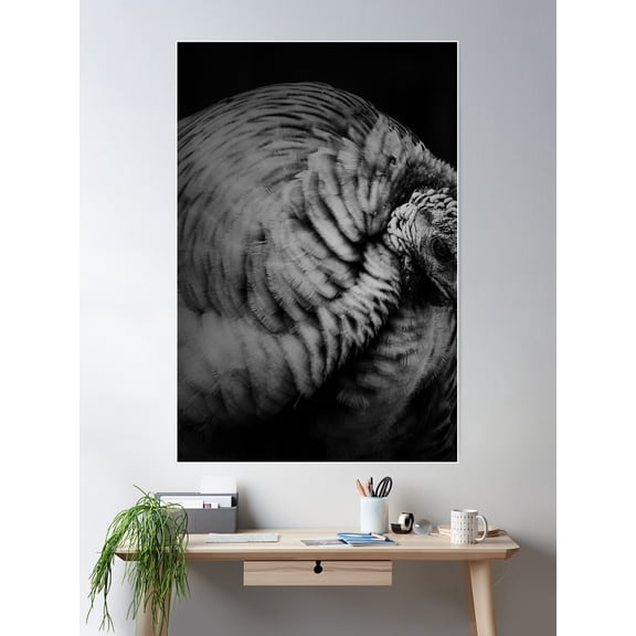 Dark Turkey Poster Wall Art, Modern Wall Decor For Living Room Bedroom, 8x12 UNFRAMED