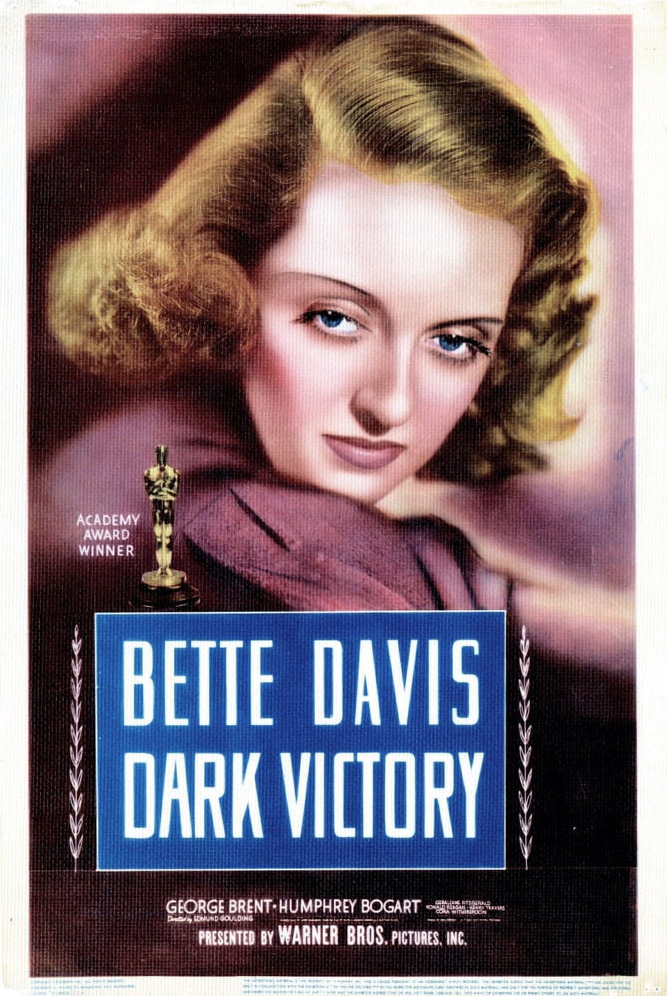 Dark Victory Canvas Art - (24 x 36)