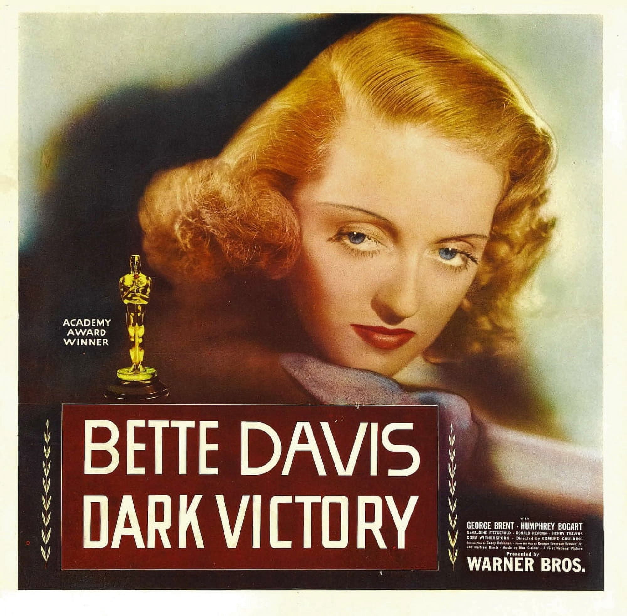 Dark Victory Canvas Art - (28 x 22)