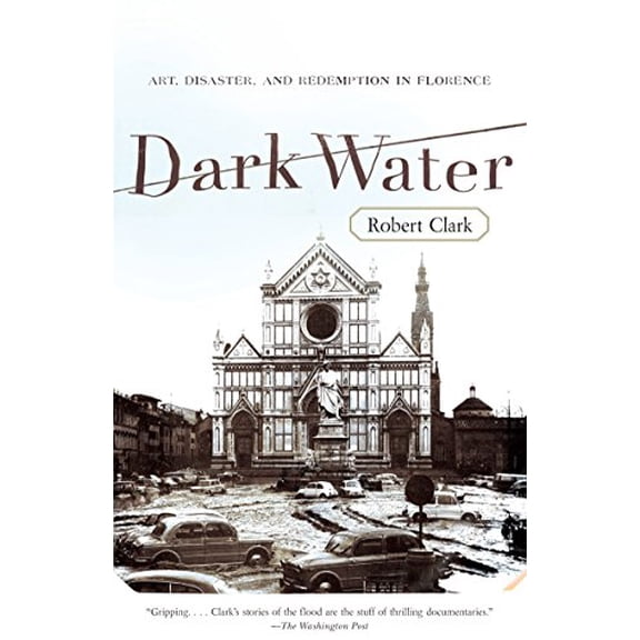 Pre-Owned Dark Water: Art, Disaster, and Redemption in Florence (Paperback) 0767926498 9780767926492