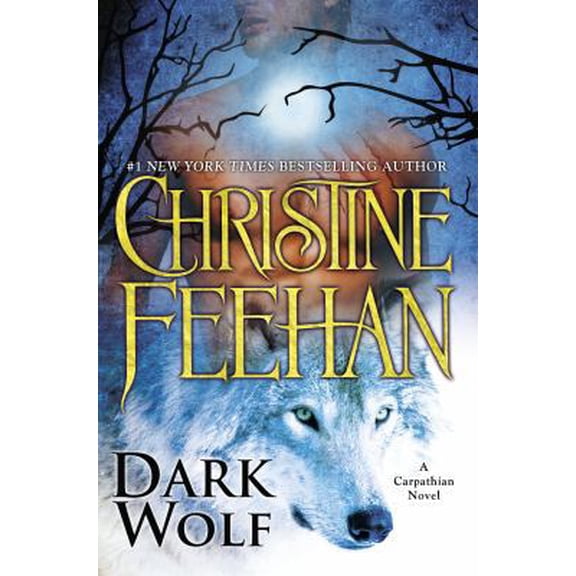 Pre-Owned Dark Wolf by Christine Feehan (Carpathian Novels, Hardcover)