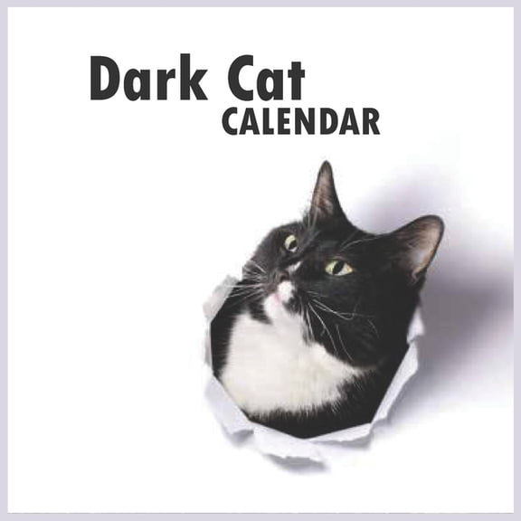 Dark cat calendar (Paperback)