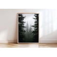 thumbnail image 1 of Dark forest Poster pine trees photography misty for wall art Poster, Unframed Poster Size 8x12, 1 of 4