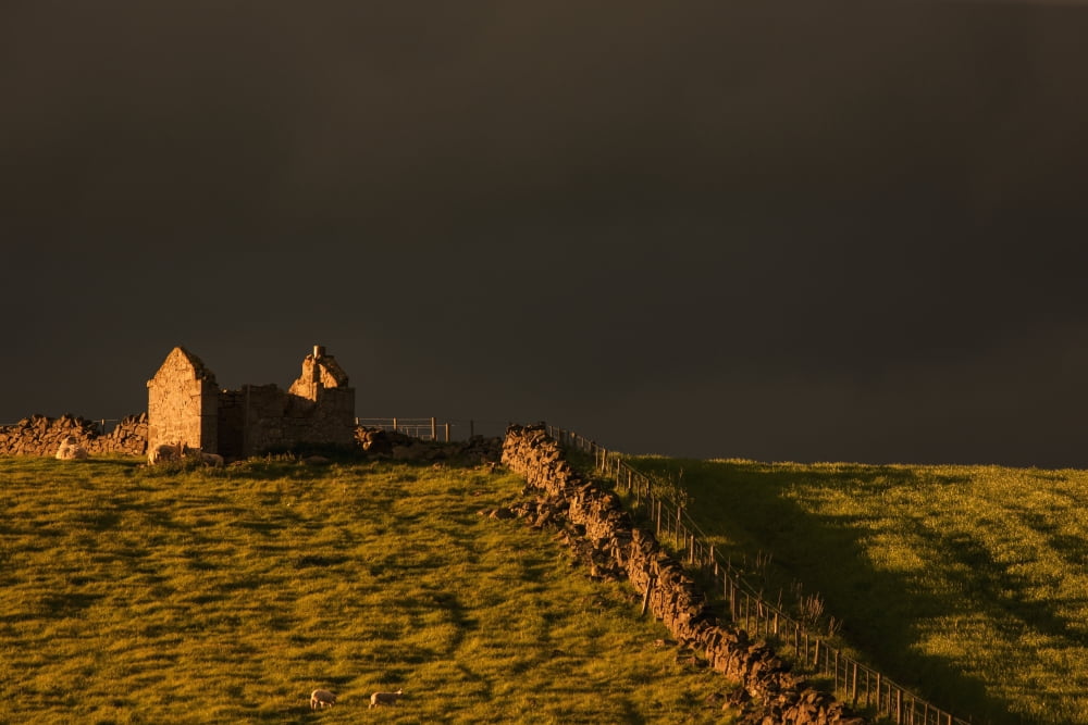 Dark storm clouds over building ruins and a stone fence along a field at sunsetYorkshire dales england Canvas Art - John Short Design Pics (19 x 12)