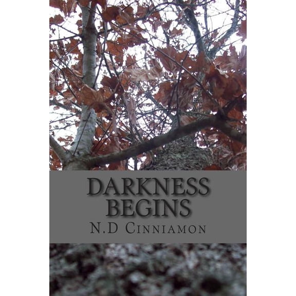 Darkness Darkness Begins, Book 1, (Paperback)