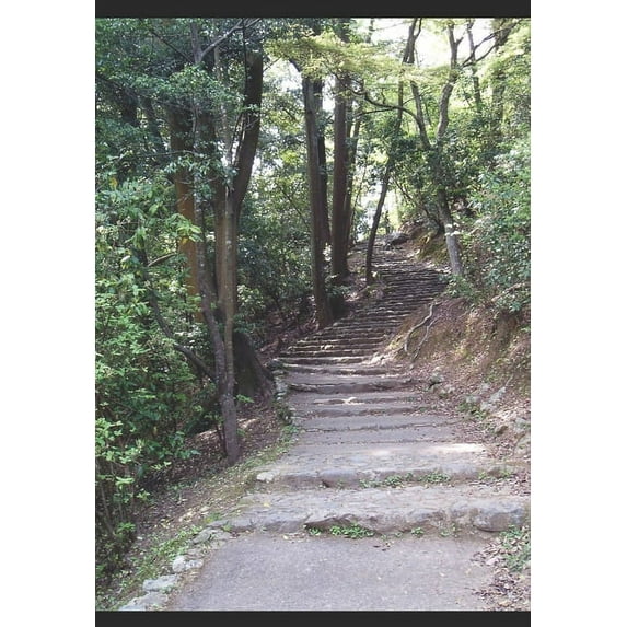 Darkness Falls: A Warren Wedgett Story (Paperback)