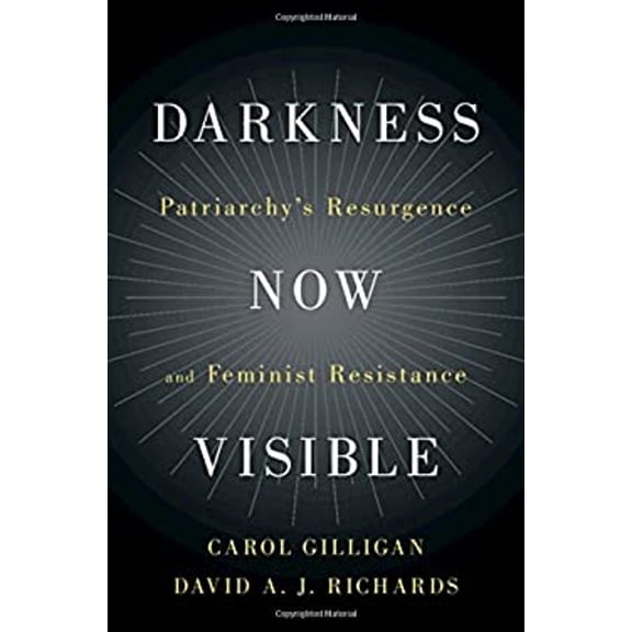 Pre-Owned Darkness Now Visible: Patriarchy's Resurgence and Feminist Resistance (Hardcover) 1108470653 9781108470650