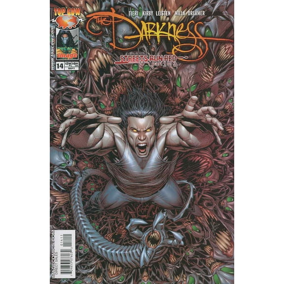 Darkness, The (Vol. 2) #14 VF ; Image Comic Book