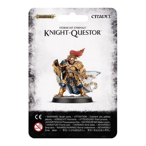 Darkoath Chieftain Slaves to Darkness Warhammer Age of Sigmar