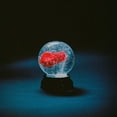 thumbnail image 1 of Darkside - Nothing - Music & Performance - CD, 1 of 1