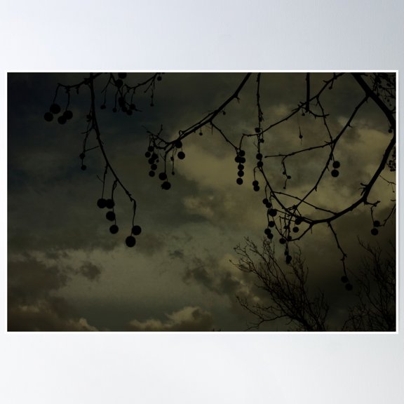 Darksome Poster Wall Art, Modern Wall Decor, 12x18 UNFRAMED