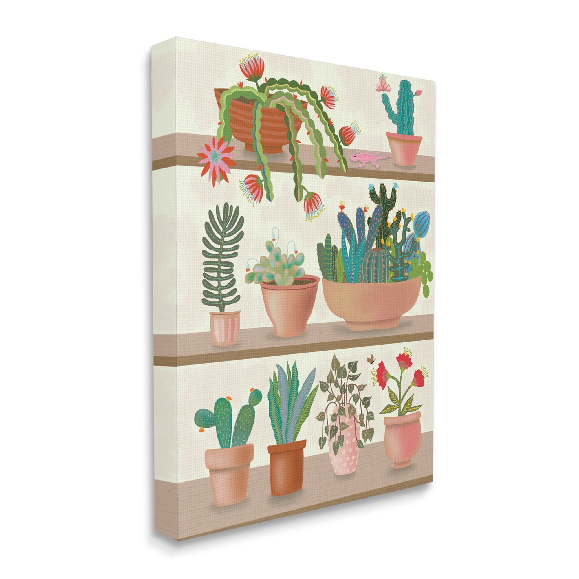 Darlene Seale Modern Chic Succulent Shelve Illustration Fun Cacti 36 in x 48 in Painting Canvas Art Print, by Stupell Home Décor
