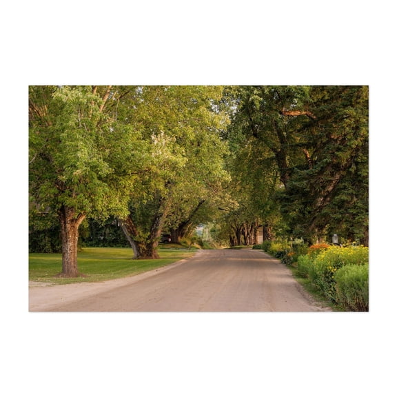 Darling Hill Road, Burke 02 - Burke Vermont Photography Rural Nature Countryside Scenic Landscape Unframed Wall Art Print 5 x 7 inches