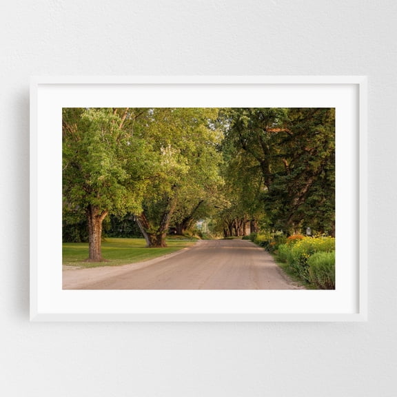 Darling Hill Road, Burke 02 - Burke Vermont Photography Rural Nature Countryside Scenic Landscape White Framed Wall Art Print 16 x 24 inches