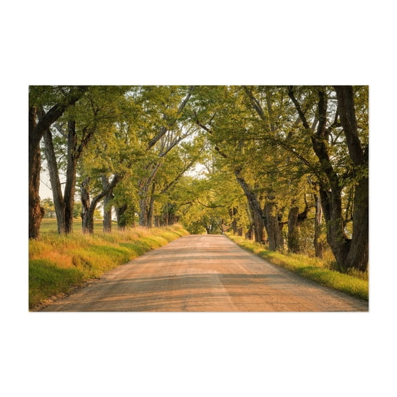 Darling Hill Tree Tunnel, Burke - Burke Vermont Photography Rural Country Countryside Scenic Landscape Nature Woodland Unframed Wall Art Print 24 x 36 inches