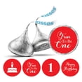 thumbnail image 1 of Darling Souvenir Fun to Be One Birthday Theme Stickers Labels 190 Pcs Party Favor-Red, 1 of 2