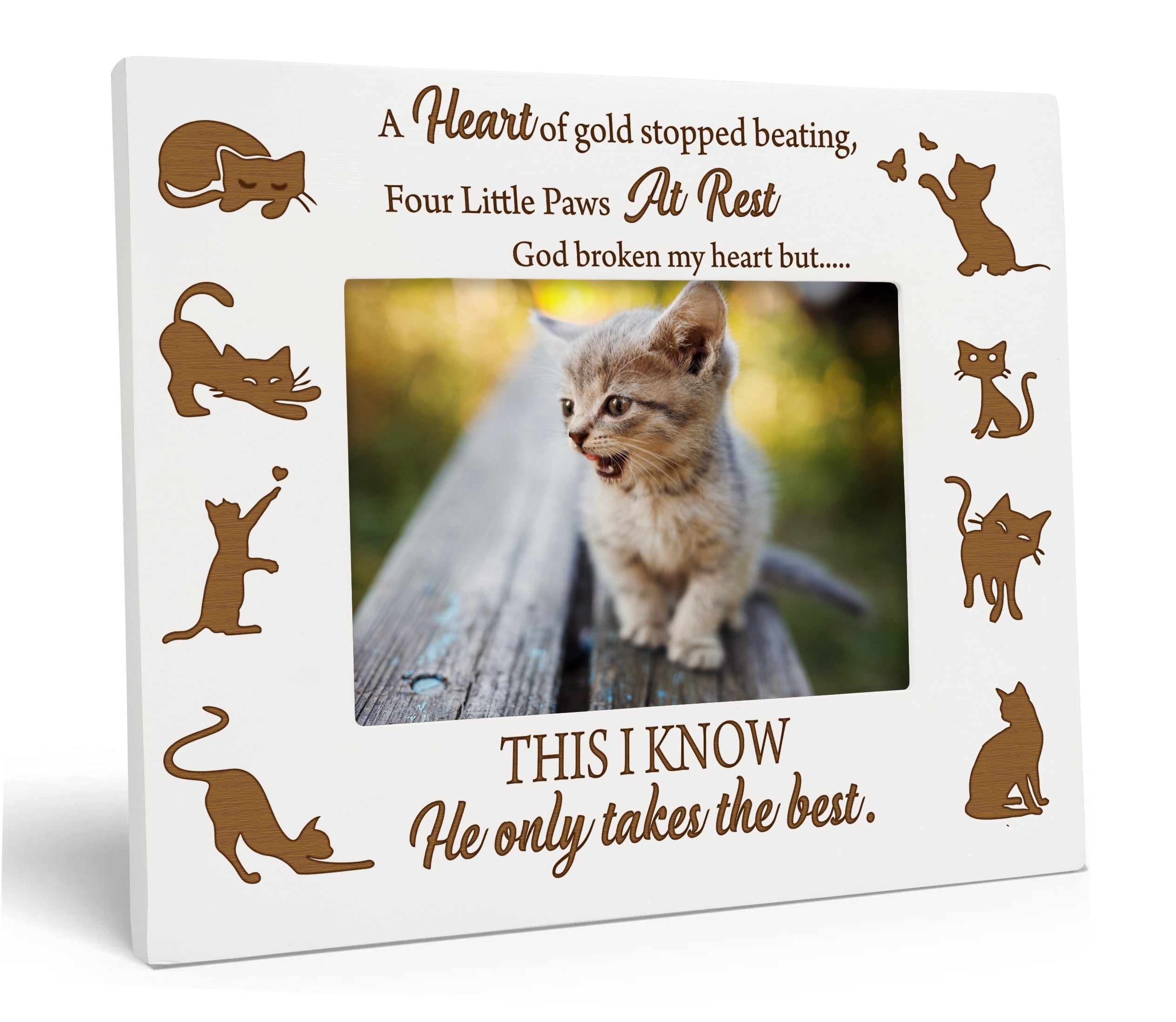 Darling Souvenir Wooden Engraved Cat Memorial White Picture Frame - Pet ...