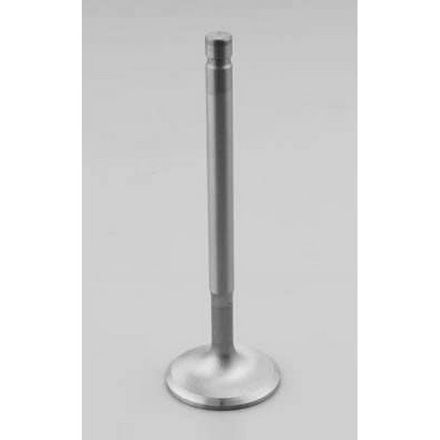 Dart 21321600 Exhaust Valve For Small Block Fits/For Chevy