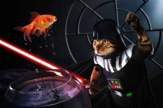 Darth Sushi Canvas Art - Christophe Kiciak (12 x 18)