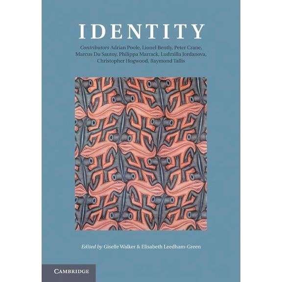 Darwin College Lectures Identity, Book 21, (Paperback)