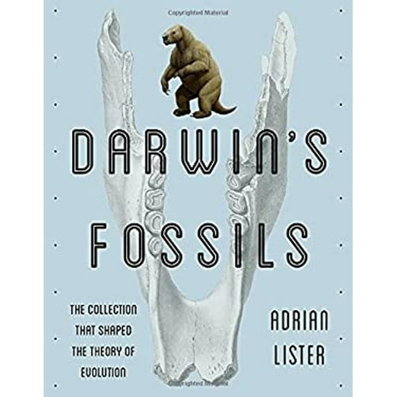 Pre-Owned Darwin's Fossils: The Collection That Shaped the Theory of Evolution (Paperback) 158834617X 9781588346179