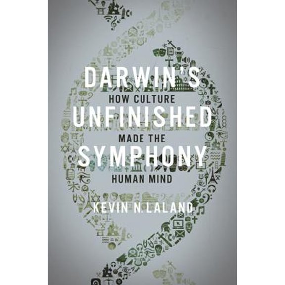 Pre-Owned Darwin's Unfinished Symphony: How Culture Made the Human Mind (Paperback) 0691182817 9780691182810
