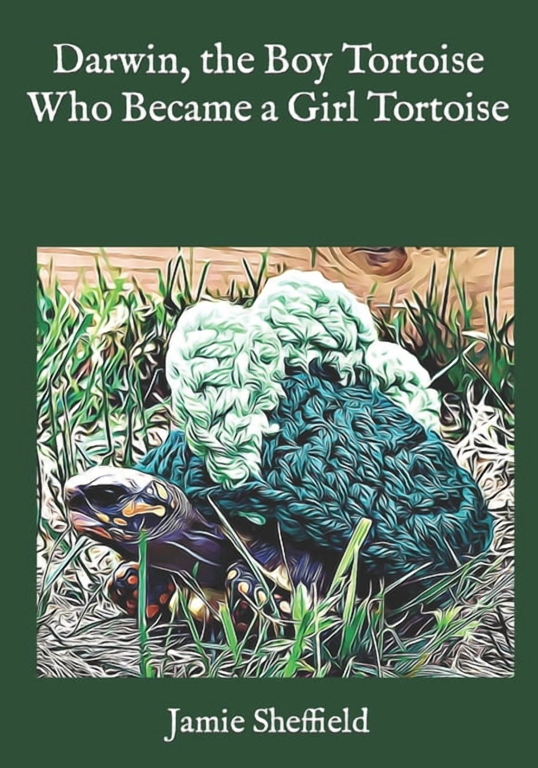 Darwin Boy Darwin, the Boy Tortoise Who Became a Girl Tortoise (Paperback) by ...