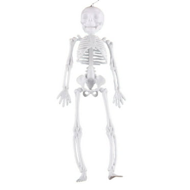 Darzheoy 11.5" Halloween Skeleton Decorations, Halloween Decoration Skeleton Haunted House Room Venue Decoration Props Prankster Model Frame