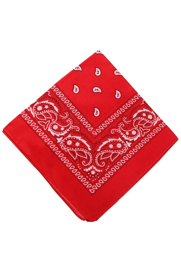 22 inch Cotton Paisley Bandana Multi Colored Set Cowboy Bandana Head Scarf Double-sided for Men & Women