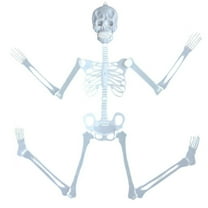 Darzheoy 35" Halloween Skeleton, Full Body Skeleton with Posable Movable Joints for Props Decorations